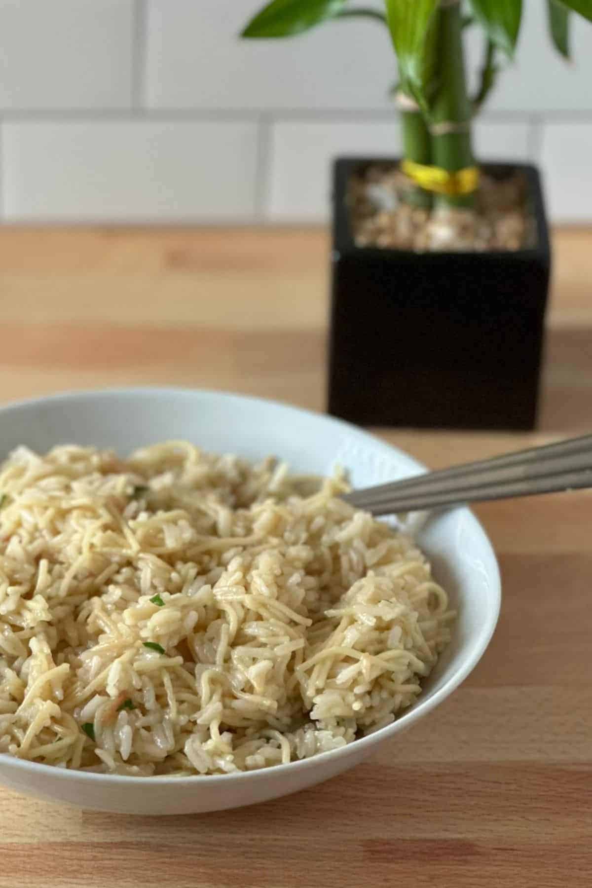 White bowl full of homemade rice pilaf with a small bamboo plant in the background